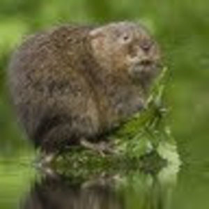 Meet your Posher, Sophie